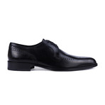 Perforated Wingtip Derby // Black (Euro: 45)