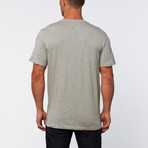 Swiss Alp Graphic Tee // Heather Grey (S)