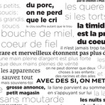 PROVERBES Noir et blanc (Deco // 18.31"W x 102.36"H)