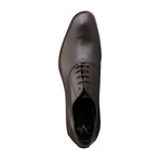 Leather Plain-Toe Oxford // Brown (Euro: 42)