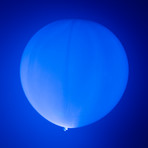 Round LED Balloon // 2-Pack (White LED Light)