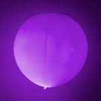 Round LED Balloon // 2-Pack (White LED Light)