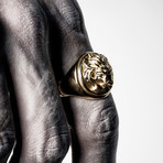 Lion Ring // Gold (Size 6)