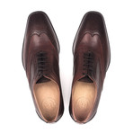 Two Tone Oxford Brogue // Dark Brown (Euro: 43)