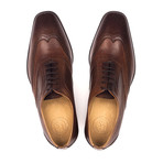 Two Tone Oxford Brogue // Medium Brown (Euro: 41)