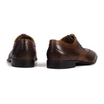 Two Tone Oxford Brogue // Medium Brown (Euro: 41)