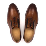 Perforated Toe Oxford // Brown (Euro: 41)