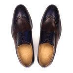 Two Tone Brogue // Navy Blue + Dark Brown (Euro: 43)