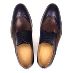 Two Tone Brogue // Navy Blue + Brown (Euro: 40)