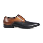 Two Tone Derby // Black + Brown (Euro: 47)