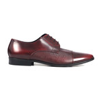 Reptile Embossed Cap-Toe Derby // Maroon (Euro: 46)