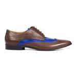 Two Tone Brogue // Brown + Cobalt Blue (Euro: 45)