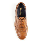 Newline Brogue // Tan (UK: 7)