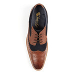 Shaw // Brown + Navy (UK: 14)