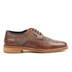 Stead Brogue // Brown (UK: 6)