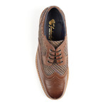 Stead Brogue // Brown (UK: 6)