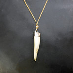 24k-Dipped Wolfs Tooth + Chain