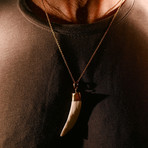 24k-Dipped Wolfs Tooth + Chain