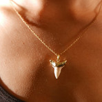 24k-Dipped Sharks Tooth Pendant + Chain