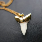 24k-Dipped Sharks Tooth Pendant + Chain