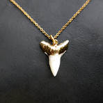 24k-Dipped Sharks Tooth Pendant + Chain