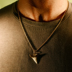 24k-Dipped Sharks Tooth Pendant + Chain