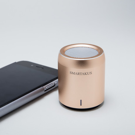 Bacchus Wireless Bluetooth Speaker (Grey)