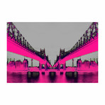 Night Vision Pink (24"L x 16”H)