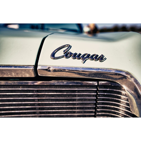 Vintage Mercury Cougar Badging (16"L x 24"W)