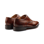 Toecap Oxford Brogue // Brown (US: 7)