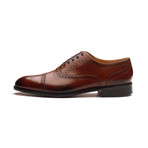 Toecap Oxford Brogue // Brown (US: 7)