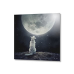 Full Moon // Aluminum Print