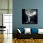 Full Moon // Aluminum Print