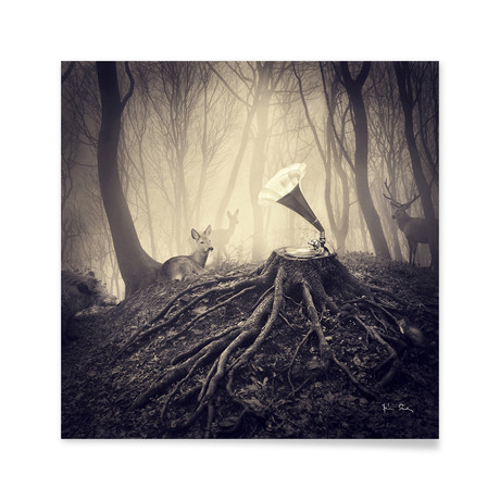 Gramophone // Aluminum Print (16"L x 16"H)