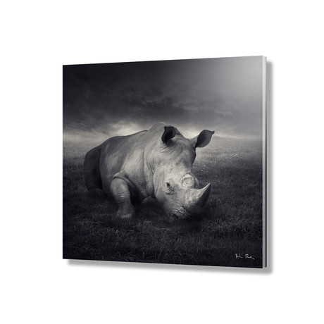 Rhino // Acrylic Print (16"L x 16"H)