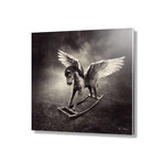 Rocking Pegasus // Acrylic Print (16"L x 16"H)