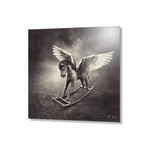 Rocking Pegasus // Aluminum Print (16"L x 16"H)