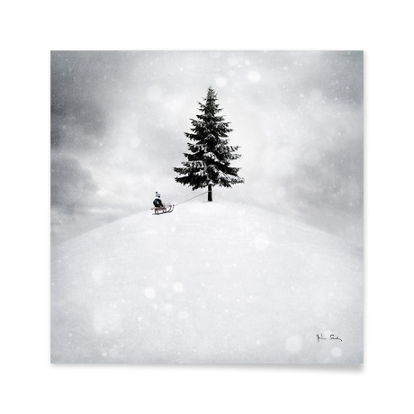 Winter // Aluminum Print (16"L x 16"H)