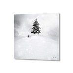 Winter // Aluminum Print (16"L x 16"H)