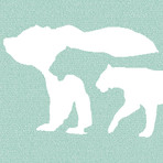 The Jungle Book (Green)