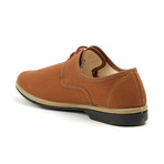 Maians // Calisto Canvas Derby // Pecan (Euro: 41)