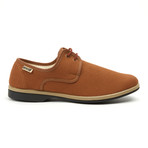 Maians // Calisto Canvas Derby // Pecan (Euro: 41)