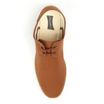 Maians // Calisto Canvas Derby // Pecan (Euro: 41)