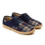 Sisto Cuadros Sneaker // Navy (Euro: 39)