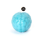 Skull + Brain // White (Blue)