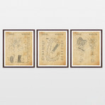 Climbing Patent Collection  // 3 Print Set // Antique Paper (8" x 10")