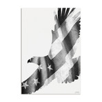 Freedom Eagle // Black + White