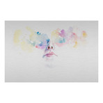 Tutta La Luce Negli Occhi (12"L x 8"W)