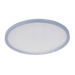 Moonbeam 1-Light Flush Mount