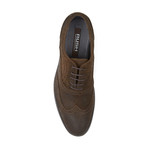 Gordon Rush // Ford Suede Wingtip Oxford // Dark Brown (US: 8.5)